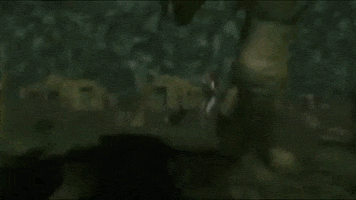 T-Rex GIF