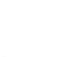 Festival Festa Sticker by Social wave