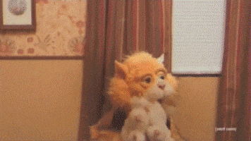 200.gif?cid=fc005b082d50634e3de316a21ae261d4e0a044f429567717&rid=200.gif&ct=g