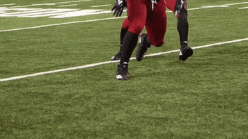 Red Wolves Omega GIF by Arkansas State Athletics