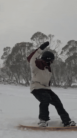 GIF by Thredbo