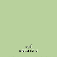 Mexico Oaxaca GIF by Mezcal Ictuz