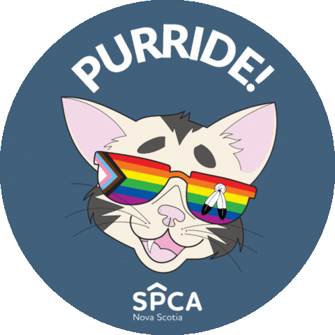 Halifax Pride Cat Sticker by Nova Scotia SPCA
