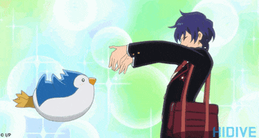 HIDIVE anime cute penguin cute anime GIF