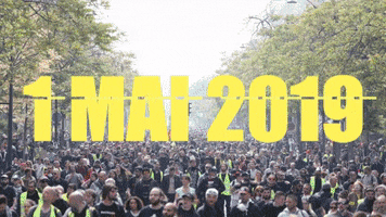 gilets jaunes jassume GIF by THEOTHERCOLORS