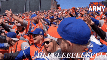 Strike Out Citi Field GIF by The 7 Line