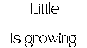 Artist Mallorca Sticker by Flyhighmallorca