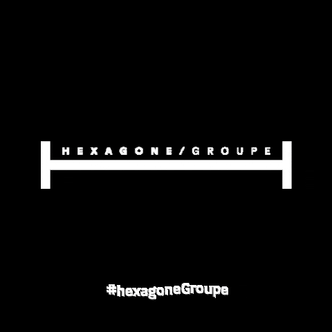 HexagoneGroupe ubb hexagonegroupe hexagone groupe parenaire ubb GIF