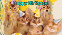 Happy Birthday Bruno Gifs Get The Best Gif On Giphy Happy Birthday Bruno Gifs Get The Best Gif On Giphy