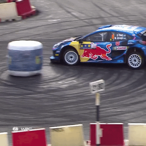 Ford Spinning GIF by FIA World Rally Championship