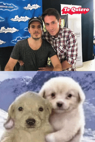 Pxndx GIF