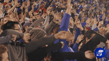 200.gif?cid=fc005b0846c6ce24f0ede69778d718d1d2205b293e48df67&rid=200.gif&ct=g