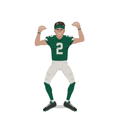 Dust Off New York Jets GIF by SportsManias