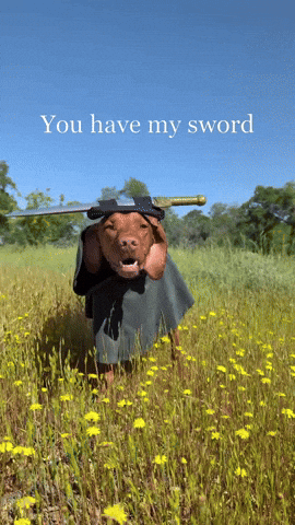 Dog Sword GIF