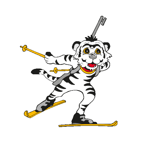 DSV - Deutscher Skiverband Sticker