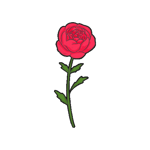Flower 꽃 Sticker