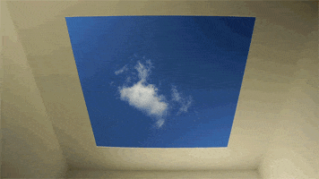 contemporary art GIF by Art21