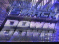 smack down fight GIF smack down fight GIF