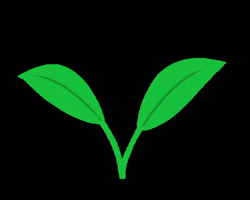 Green GIF