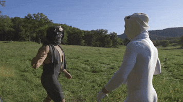 Takeo Ischi Ninja GIF by The Gregory Brothers