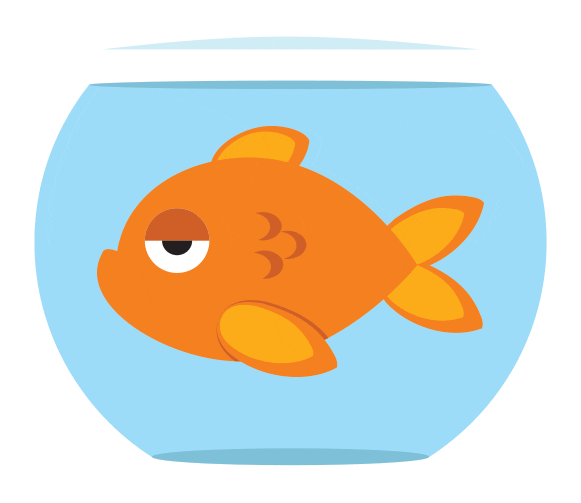 Animated-fish GIFs - Get the best GIF on GIPHY