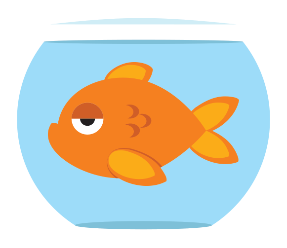 Sticker Fish GIF by aaron frey Find & Share on GIPHY