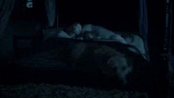 Eleanor Tomlinson Dog GIF by MASTERPIECE | PBS