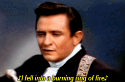 Fire Cash GIF