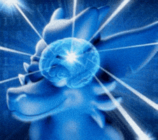 Big Brain GIF