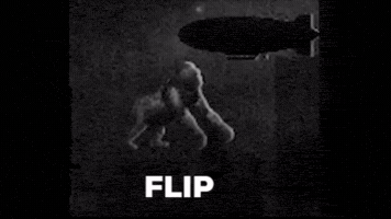 Gorilla Town Flip That Doopsie GIF