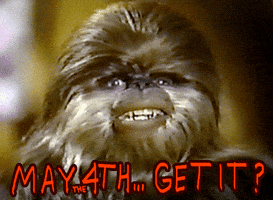 may the 4th a bad pun is its own reword GIF