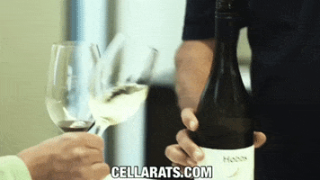 Cellar Rats by Itasca Films GIF