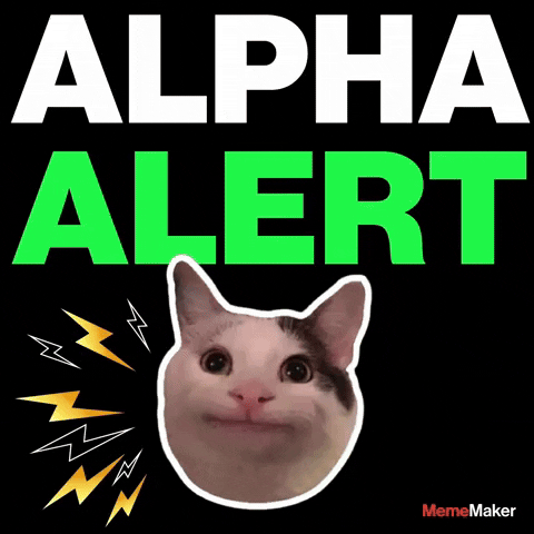 Alpha Crypto Meme GIF by MemeMaker