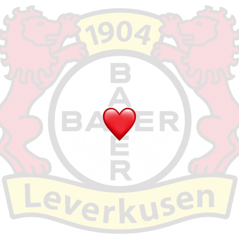 Bayer 04 Soccer GIF by Bayer 04 Leverkusen