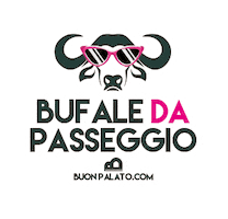 Cheese Cremona Sticker by Buonpalato