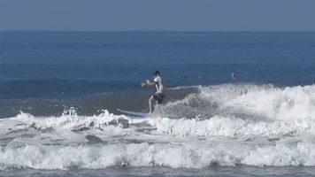 thesurfcontinuum surf surfing surfer cutback GIF