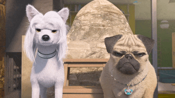 Angry Dog GIF by TeamTO