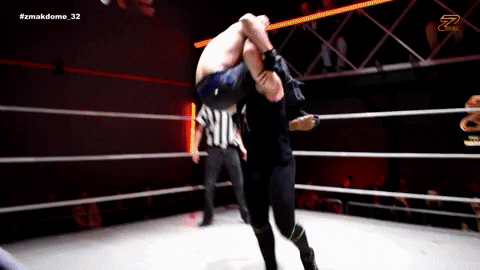 Wrestling GIF