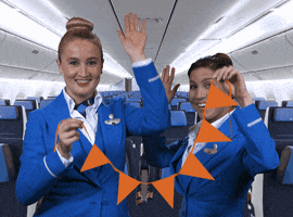 Royal Dutch Airlines Party GIF by KLM