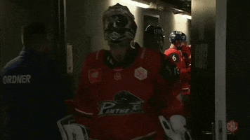 Augsburger Panther Focus GIF by Champions Hockey League