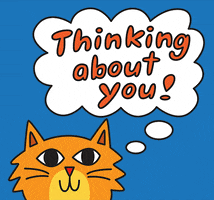 Thinking About You Cat GIF by joeyahlbum