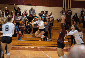 Celebration GIF by SIUSalukis