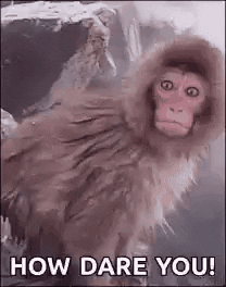 How Dare You GIF by moodman - Find & Share on GIPHY