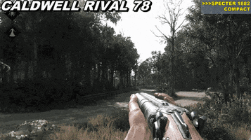 Animation GIF