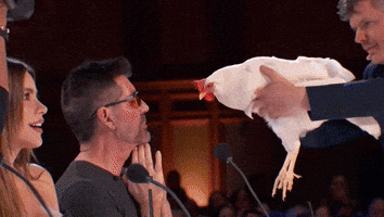 Chicken GIF