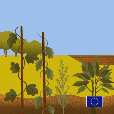 Food Plants GIF by European Commission