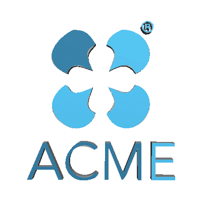 Acme Sicurezza Sticker