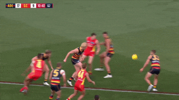 brodie smith afl GIF by Adelaide Crows