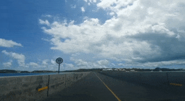 Bermuda Driving GIF by Bermemes
