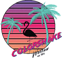 80S Warsaw Sticker by Colorshake